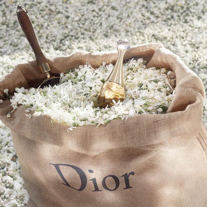 Dior jadore 100ml edp